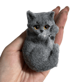 On The Ground Cat Taba Squishy
